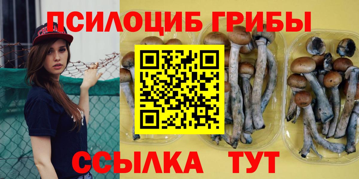 Рассказово  Галлюциногенные грибы MAGIC MUSHROOMS  Вход с VPN 